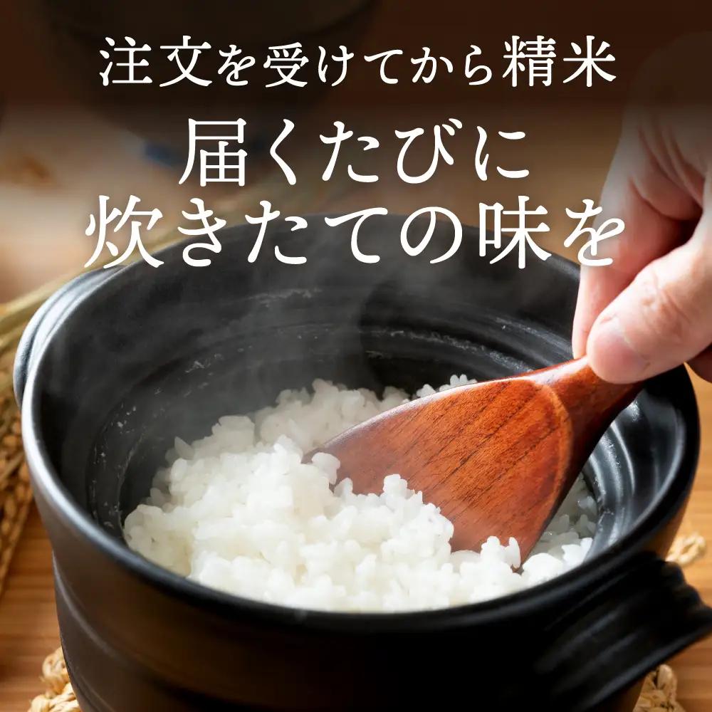 丹波コシヒカリ 白米 10kg 〈丹波市産〉 お米 白米
