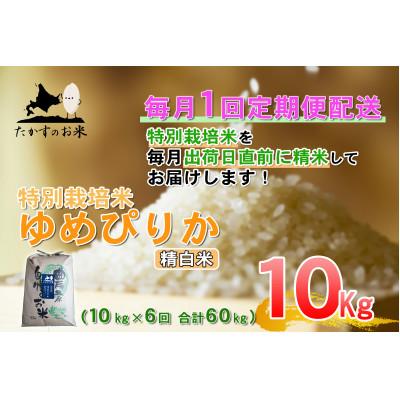 ふるさと納税 鷹栖町 【毎月定期便】たかすのお米「特別栽培米 ゆめぴりか」10kg(精白米)全6回