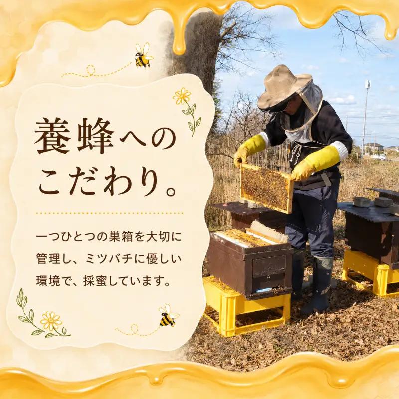 はちみつ 300g×2個 【蜂蜜】