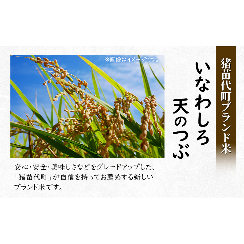 新米　猪苗代町ブランド米 いなわしろ天のつぶ( 精米 ) 2kg お米 白米 福島 大粒 寿司 和食_イメージ3