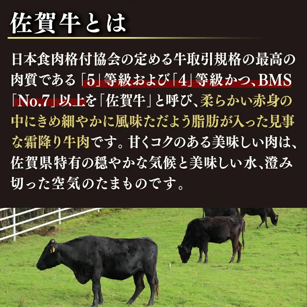 200g×8枚 佐賀牛｢ロースステーキ｣(年6回) R-18