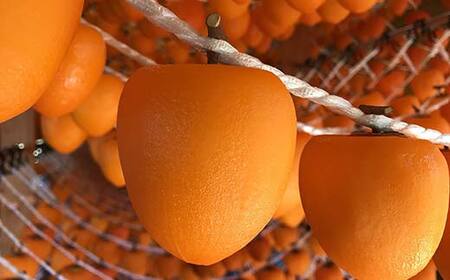 【贈答用】自然栽培あんぽ柿 桐箱 300g（3～4 個入り） F20C-968