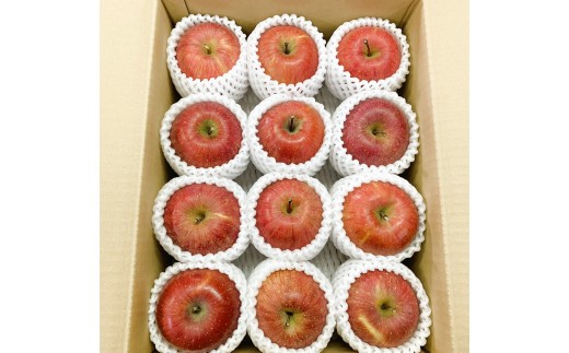 りんご（サンふじ）３ｋｇ　９～１３個　秀品・ご家庭用混合　0120-2607