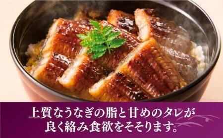 福岡県産 うなぎ 蒲焼 大2尾　合計 320 g（1尾あたり 160g以上）《豊前市》【福岡養鰻】 国産 うなぎ 大[VAD002] うなぎ 鰻 鰻の蒲焼 ギフト鰻 国産鰻 うなぎ 鰻 鰻の蒲焼 ギフ