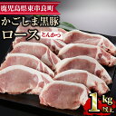 【ふるさと納税】かごしま黒豚ロースとんかつ用(計1kg・約100g×10枚)国産 豚肉 肉 冷凍 ロース 鹿児島 ステーキ とんかつ【デリカフーズ】【15577】