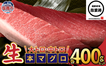 【生本マグロ】大トロ 中トロ マグロ 800g 柵