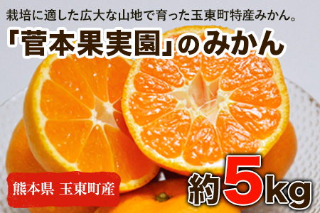 『菅本果実園』のみかん★約5kg(2S-Lサイズ)《10月中旬-12月末頃出荷》 予約受付中 フルーツ 秋 旬★熊本県玉名郡玉東町 全国にファン多数！エコファーマー菅本さんのみかん♪『菅本果実園』