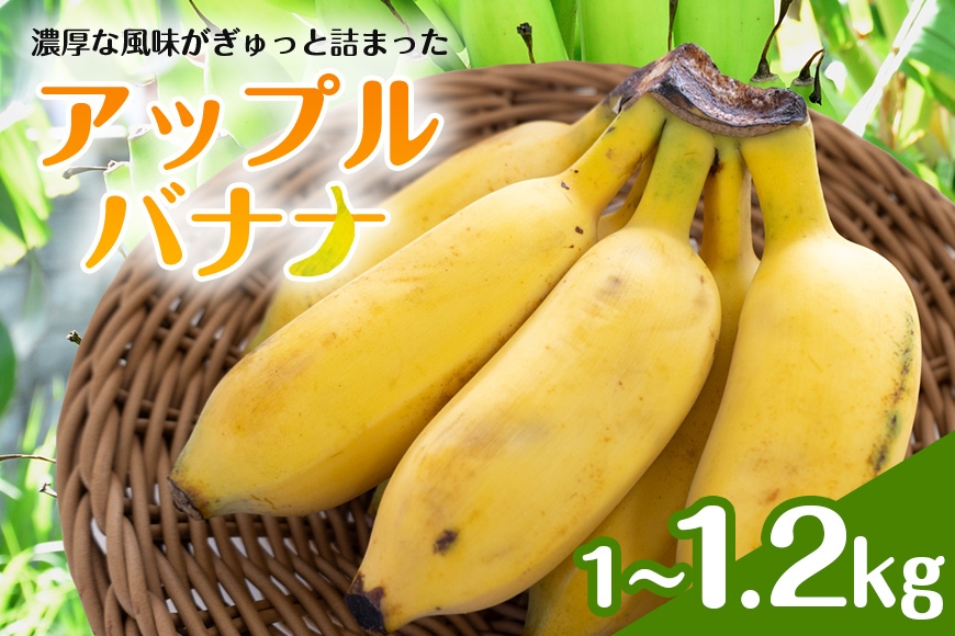 
                  アップルバナナ1～1.2kg 194-5
                