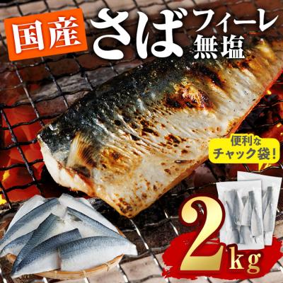 ふるさと納税 佐伯市 鯖 フィーレ 無塩 (計2kg・1kg×2袋)