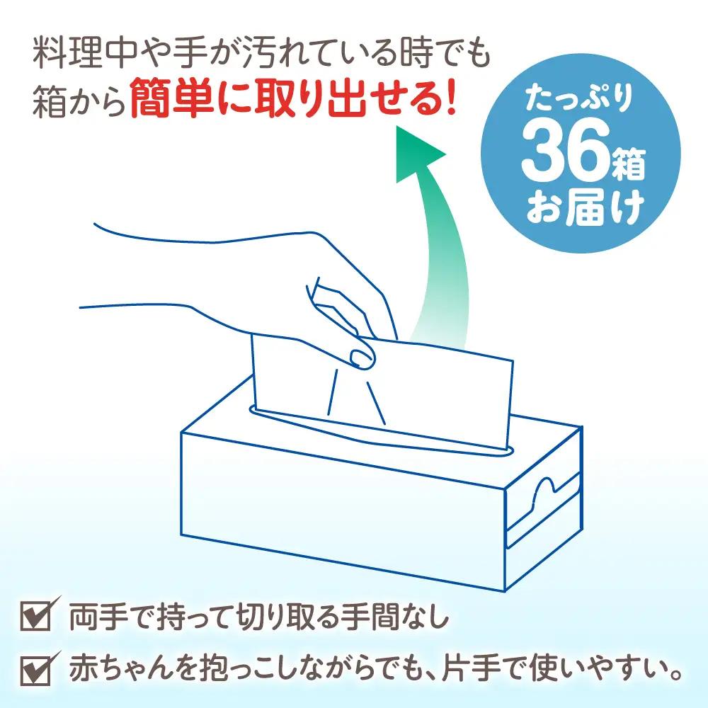 スコッティ キッチンタオルボックス 36箱 キッチンペーパー  [BDBH003-1]