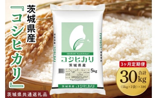 【茨城県共通返礼品】【3ヶ月定期便】令和7年産 茨城県産 コシヒカリ10kg（5kg×2袋）【お米 米 こしひかり ごはん 茨城県】（03-55-1）