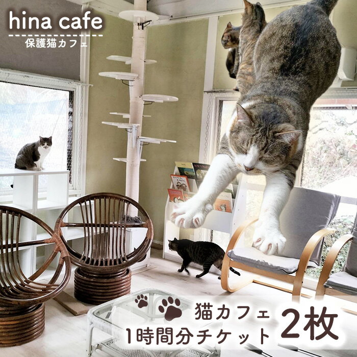 【ふるさと納税】No.202 猫ルーム1時間利用チケット2枚 ／ hinacafe 猫カフェ 保護猫 遊び 触れ合い 写真撮影 まったり 癒し 送料無料 山口県