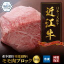 【ふるさと納税】近江牛 希少 特選 霜降り モモ 肉 ブロック 500g お肉 牛肉 グルメ ブランド牛 焼肉 食べ物 食品 和牛 誕生日 プレゼント ギフト おすすめ 人気 お取り寄せ 贈り物 特産品 お礼の品 冷凍 国産 送料無料