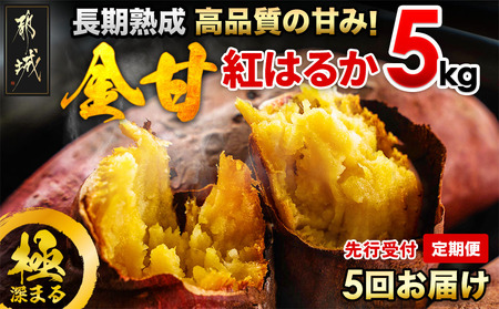 【先行受付】【5回お届け!】都城産 長期熟成紅はるか 5kg 定期便≪2025年10月下旬頃より順次お届け≫_TAA5-I201-10_(都城市) 都城産 さつまいも 熟成紅はるか 秀品 5kg サイズ未選別 S～L
