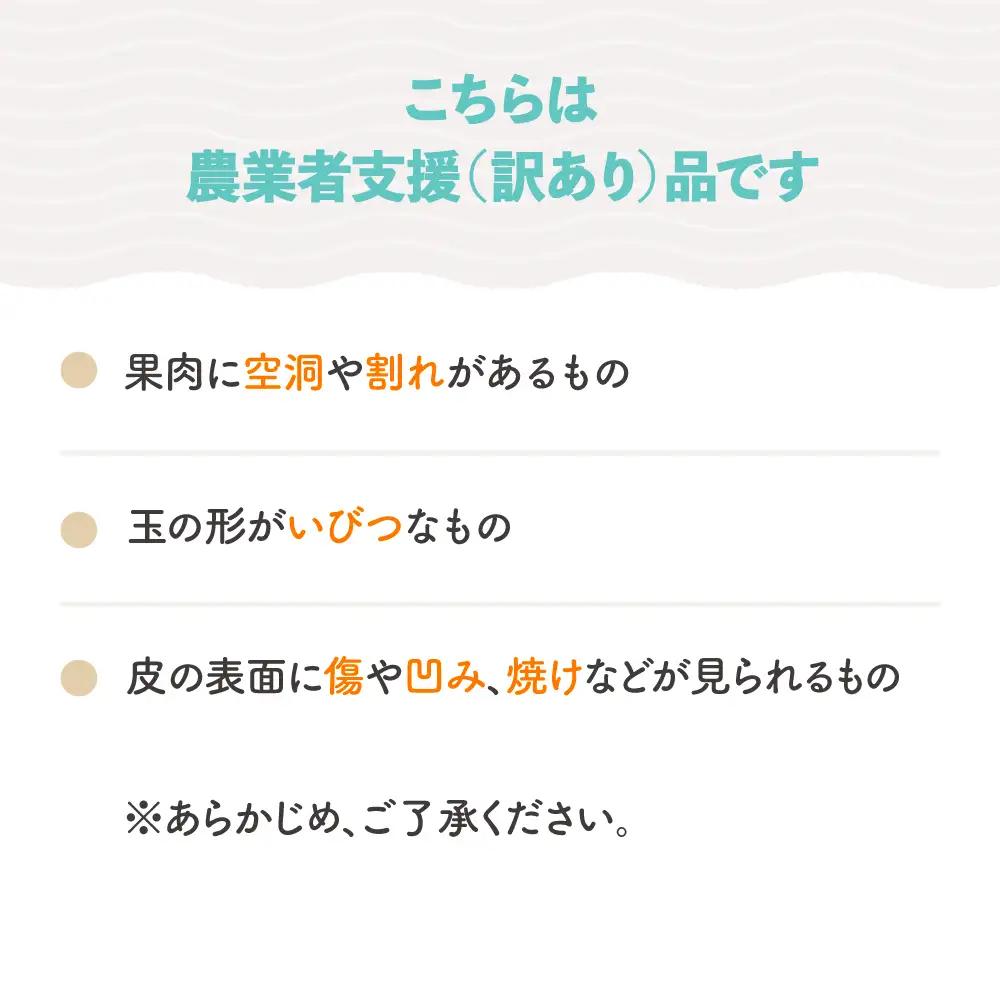 大玉すいか ブラックジャック 訳あり 約6~8kg前後×1玉 令和8年産 山形県産 gt-suwbj