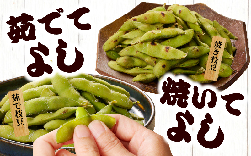 先行予約≪期間限定≫枝豆(茶豆風味・茶豆)計3kg 野菜 旬 国産_T003-0065