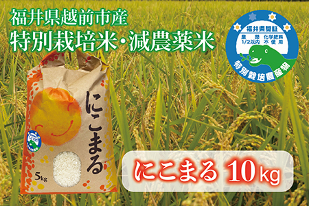 【令和7年産】 福井県越前市産にこまる　福井県特別栽培米　10kg
