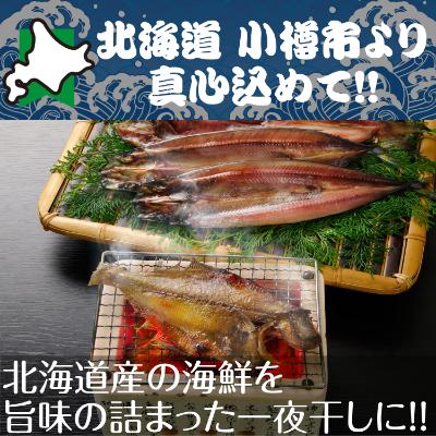 ふるさと納税 小樽市 北海道 小樽発　北海道　一夜干し詰合せ　A(0080297)