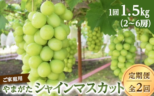 
                  【ご家庭用】やまがたシャインマスカット定期便（全2回） FSY-2807
                
