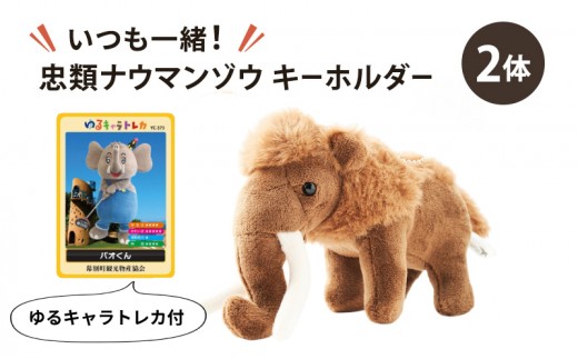 
                  [北海道 幕別町]いつも一緒！忠類ナウマンゾウ キーホルダー2体 トレカ付き [道の駅忠類]【 キーホルダー ぬいぐるみ おもちゃ ふわふわ もこもこ ギフト プレゼント 十勝 】[№5749-1984]
                