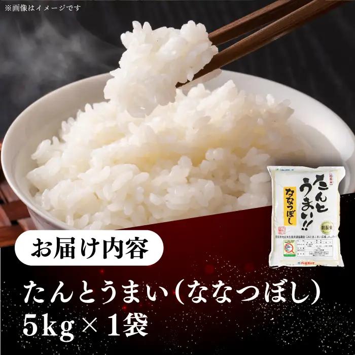 【令和7年産】ななつぼし [たんとう米]5kg コメ 北海道産 [AXAB060]
