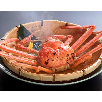 ふるさと納税 鯖江市 【11月6日漁解禁】福井冬の味覚!越前がに 1杯 (800〜900g)