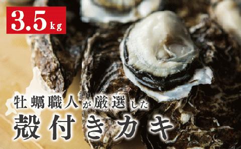 【国内消費拡大求む】<先行予約2024年11月発送>牡蠣職人が厳選した殻付きカキ 3.5kg（生食可）牡蠣　かき　カキ　海鮮　魚介　国産　殻付き　冷蔵　焼き牡蠣　蒸し牡蠣　産地直送　生牡蠣　生食