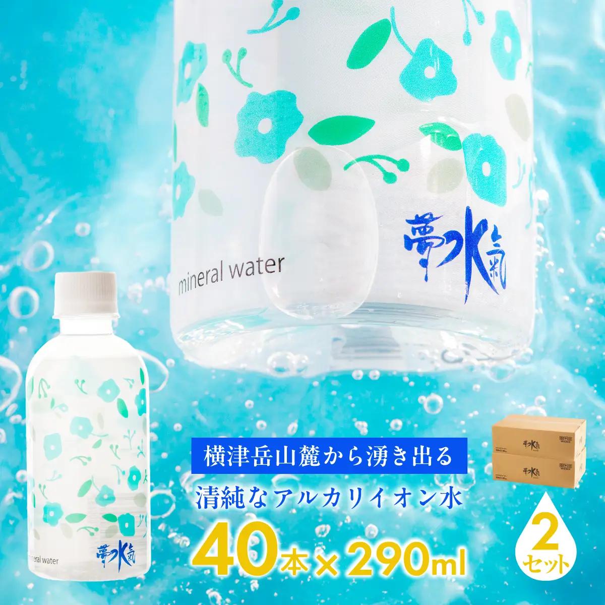 ミネラルウォーター夢水氣（290ml×40本）2セット 天然アルカリイオン水 NABI004