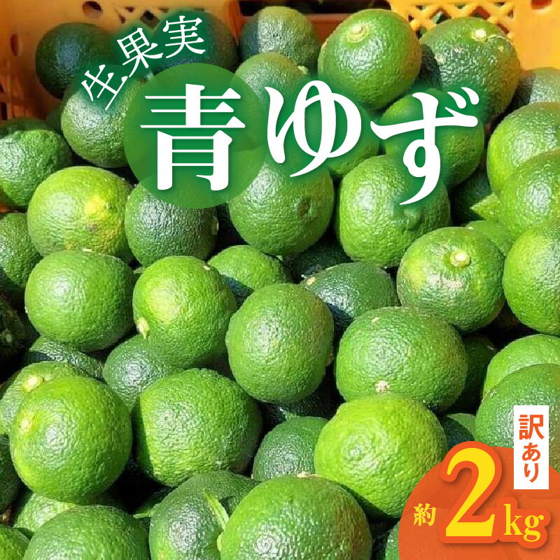 【ふるさと納税】訳あり 青ゆず 生果実 約 2kg ゆず 上毛町産 小ぶり 果汁 さわやかな風味 風味付け 加工品づくり ゆずごしょう 果物 みどり工房 お取り寄せ お取り寄せフルーツ 福岡県 上毛町 送料無料