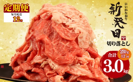 【定期便】 切り落とし 250g×12回 計3kg 新発田牛 黒毛和牛 霜降り 和牛 ブランド牛 国産 しゃぶしゃぶ 小間切れ 小分け 贈答 お歳暮 新潟 新発田 新潟県 新発田市 近江牛 神戸牛 松阪牛 米沢牛 三大和牛 に負けない えのもとミート enomoto025