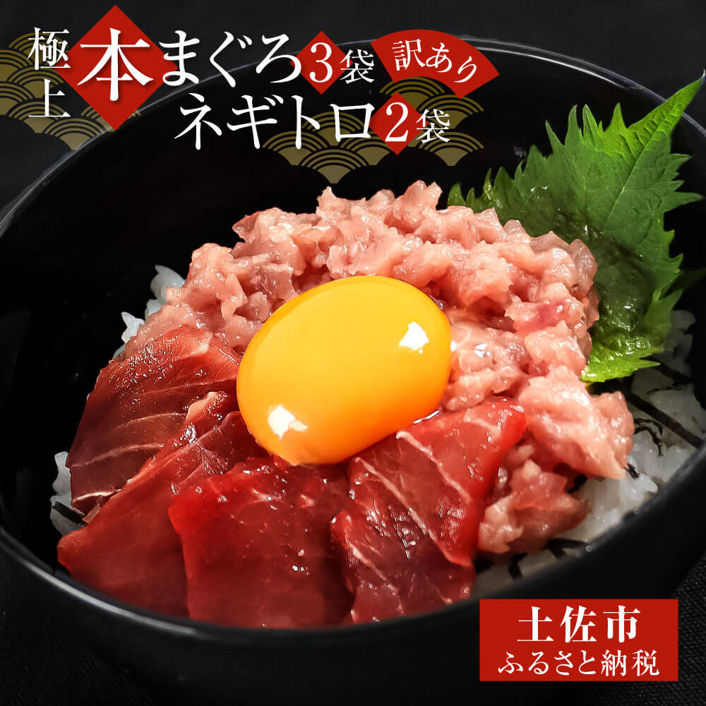 【ふるさと納税】訳あり 本鮪端材切り落とし・ネギトロセット 本鮪切落し100g×3・ネギトロ70g×2 本マグロ まぐろ マグロ ねぎとろ ネギトロ丼 鮪 まぐろたたき 刺身 冷凍 食品 故郷納税 10000円 高知 土佐市 返礼品