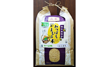 【定期便3回】雄踏ファームカモ産 玄米「みつばちまもる米」5kg（品種：にこまる）（3ヶ月連続・合計15kg）