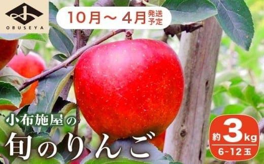 長野県産 季節の旬のりんご 約3kg 6～12玉［小布施屋］ りんご 林檎 リンゴ  果物 フルーツ 令和8年産 【2025年10月～2026年4月発送】［H-72］