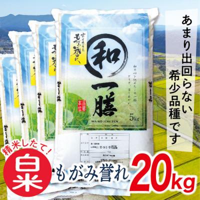 ふるさと納税 最上町 【令和7年産先行受付】山形県産もがみ誉れ20kg(白米)