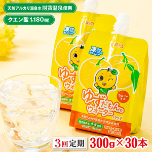 B2-22113／【3回定期】 ゆずドリンク 300g×30本 パウチ ゆずだもん。ウォーター