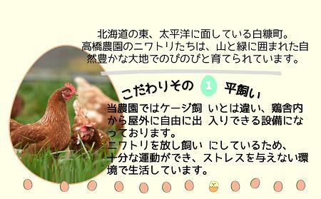 たかはしさんの新鮮たまご30個
