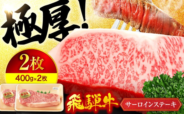 
＜ボリューム満点！高級A5ランク＞飛騨牛 A5ランク サーロイン ステーキ 400g×2枚【有限会社マルゴー】霜降り 和牛 国産 [MBE020]

