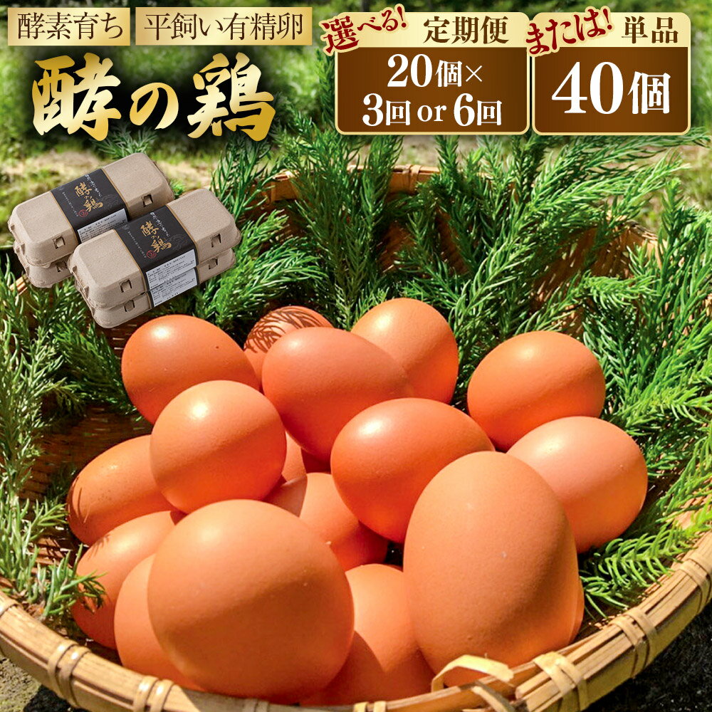 【ふるさと納税】 iTo farm 酵の鶏 40個 鶏の卵 たまご 卵 玉子 タマゴ 鶏卵 オムレツ 卵かけご飯 朝食 料理 人気 たまご焼き 送料無料 福岡県 うきは市