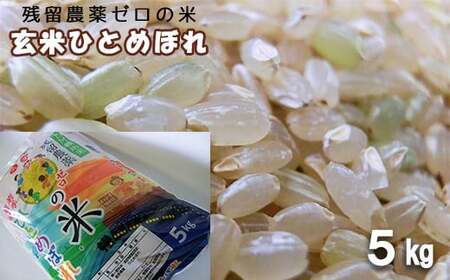 2025年産　農薬アレルギーの方でも安心！「残留農薬０の米R」玄米ひとめぼれ５kg 【285】