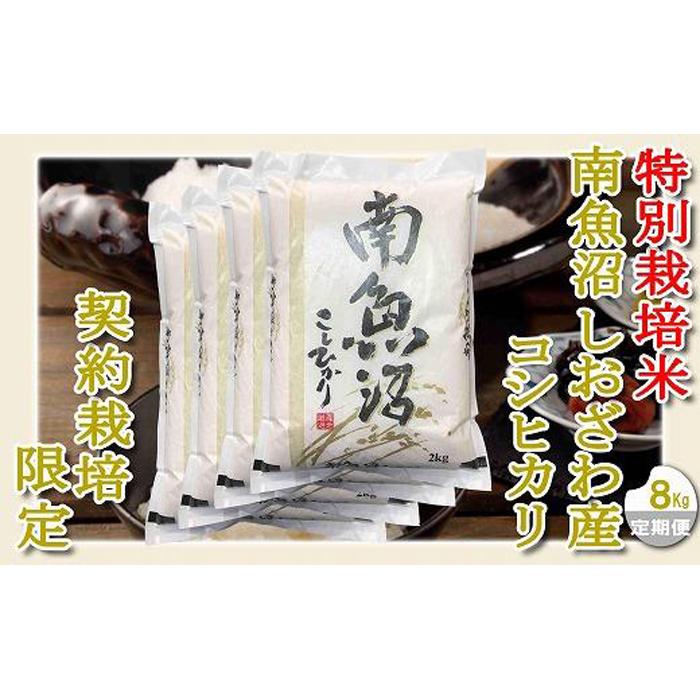 【ふるさと納税】【令和7年産】【定期配送8Kg×12ヶ月】特別栽培 生産者限定 南魚沼しおざわ産コシヒカリ【2025年10月上旬より順次発送予定】 | お米 こめ 白米 コシヒカリ 食品 人気 おすすめ 送料無料 魚沼 南魚沼 南魚沼市 新潟県産 新潟県