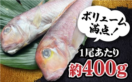 甘鯛一夜干し2尾(1尾あたり約400g) おつまみ おつまみ おつまみ /やきとり紋次郎 [FCJ075]