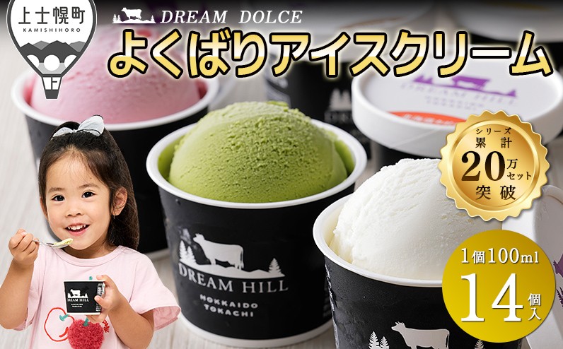 猛暑を乗り切ろう！　配送希望日指定可　ドリームヒル　よくばりアイスクリームセット＜100ml×14ヶ＞