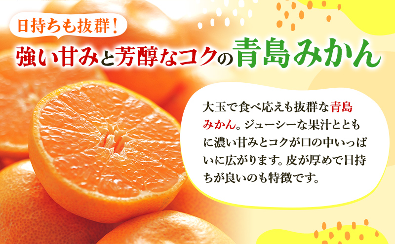 5kg 三ヶ日みかん プレミアム 青島 蜜柑 ミカン 果物 フルー