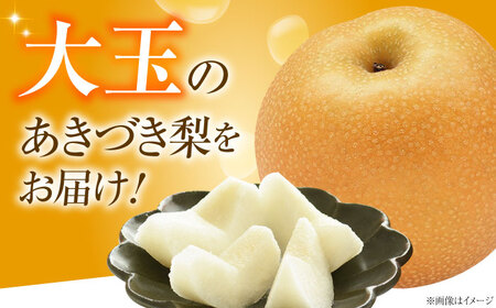 尾形農園のあきづき梨 5～6玉入 〈2026年9月～発送〉 ／ フルーツ 果物 くだもの 食品 人気 おすすめ 送料無料 梨 なし 果実 あきづきなし 【株式会社内子フレッシュパークからり】 [BKA