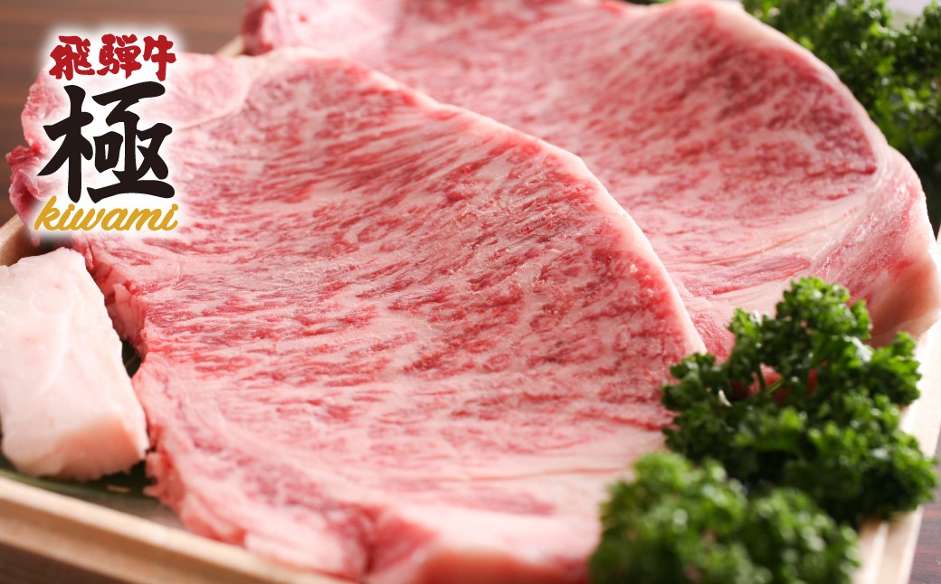 
                  ＜8月から寄附額改定＞飛騨牛 サーロインステーキ 牛肉 和牛 肉 ステーキ  岐阜県 飛騨市
                