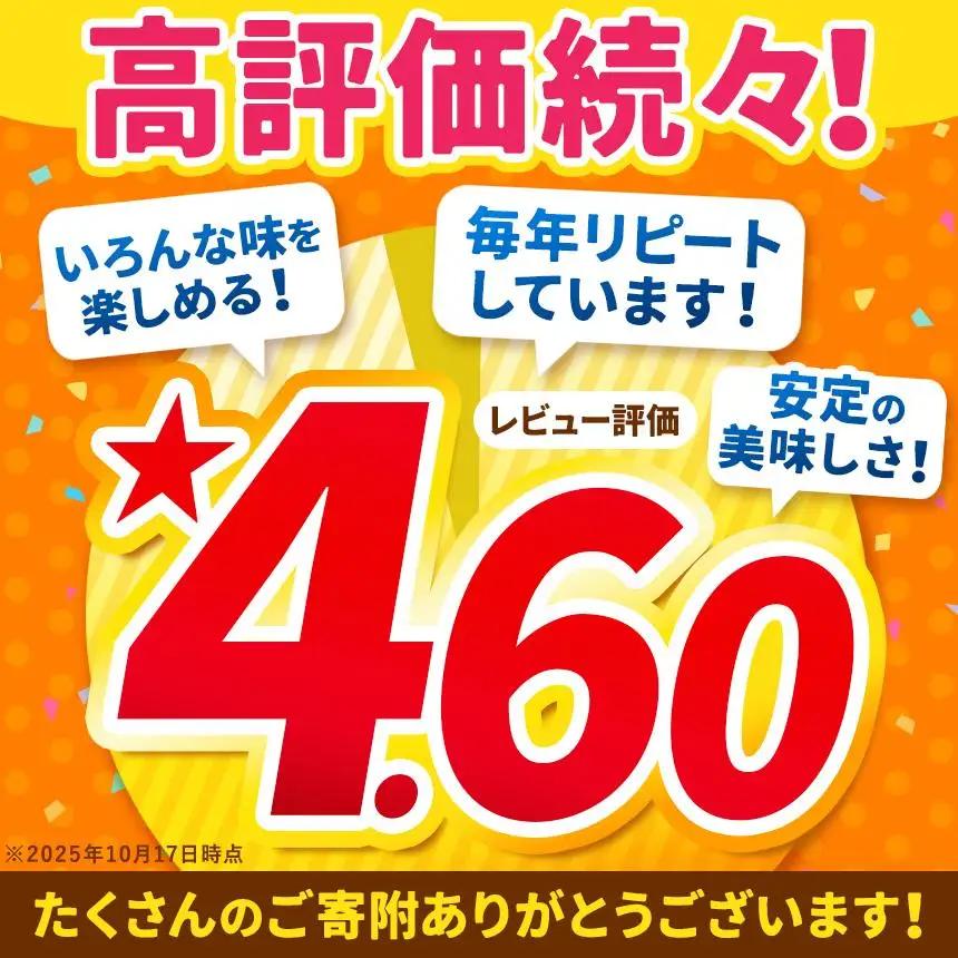 【定期便12回】ココイチ カレー Dセット（ビーフ3個・ポーク3個・甘口2個・野菜2個・キーマ2個） (毎月お届け）｜カレー CoCo壱番屋 常温保存 非常食 簡単 時短 自宅用 キャンプ  ふるさと