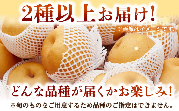 梨 なし ナシ 食べ比べ 5kg