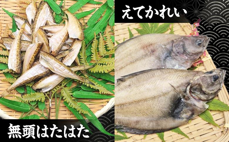 日本海（山陰の干物）セット 島根県松江市/有限会社ヤマヲ水産｜干物 セット 干物セット ひもの ひものセット 魚介類 詰め合わせ アジ イカ　ハタハタ [ALDB024]