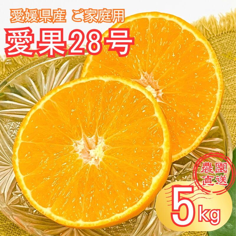 【ふるさと納税】愛果28号 5kg 紅まどんな同一品種 バラ詰め ご家庭用 サイズミックス 農園直送 先行予約 12月発送 愛媛 数量限定 愛媛県産 人気 柑橘 伊予市｜B274