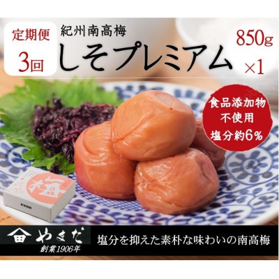 【3ヵ月毎定期便】紀州南高梅しそプレミアム塩分約6%(850g)全3回